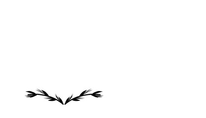 Divider