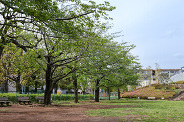 文理台公園（東京都西東京市東町）