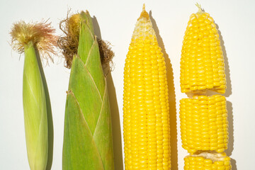 A pieces of corn on white background