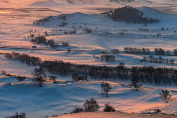 中国内蒙古乌兰布统草原冬季风光