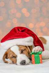 Jack russell terrier wearing red santa's hat sleeps with gift box on festive background. Empty space for text