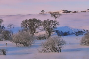 中国内蒙古乌兰布统草原冬季风光