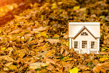 The symbol of the house stands among the fallen autumn leaves
