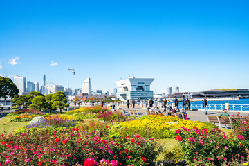 横浜・山下公園/芝生と花壇