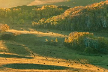 中国内蒙古乌兰布统草原秋季风光