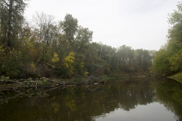 Obraz premium Landscape of an autumn river with trees on the bank