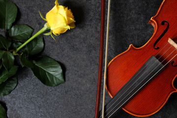 Fototapeta na wymiar Violin, yellow rose on black background. Top
