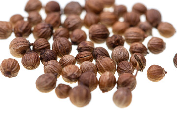 round coriander seeds on white background