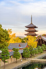 夕刻の京都　東寺　五重塔