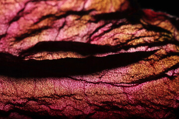 Dry Leaf Texture Abstract Background