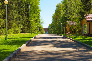 comfortable and wide asphalt road in a beautiful summer forest