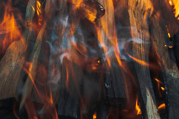 Pile of firewoods in the fire flames in the roaster closeup. Picnic concept