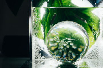 green leaf and transparent sphere with water aqua drops. Composition of nature.