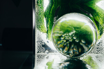 green leaf and transparent sphere with water aqua drops. Composition of nature.