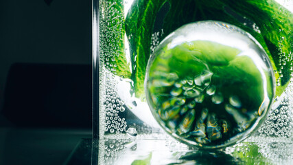 green leaf and transparent sphere with water aqua drops. Composition of nature.