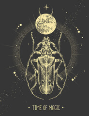 Modern magic witchcraft card with moon and longhorn beetle. Hand drawing occult vector illustration