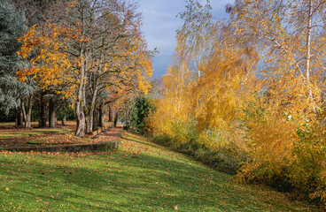Public park in a stormy weather Oregon state.