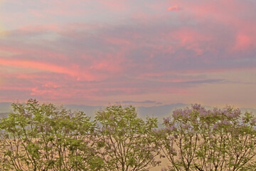 paisaje cielo arboles atardecer nubes rojo rojizo hora dorada 