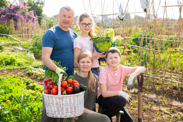 Happy family of four with basket of ripe vegetables on farm field