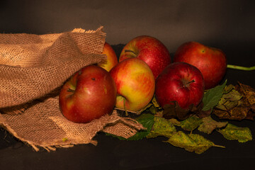 autumn still life