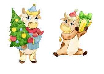 beautiful watercolor set with new year bulls
