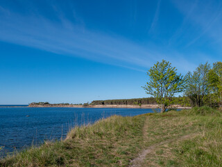 baltic sea in summer