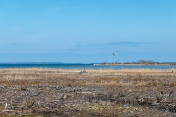 baltic sea in summer