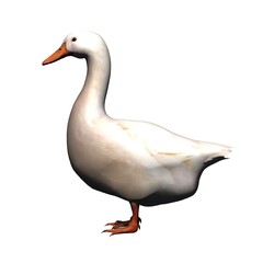 Farm animals - white goose - isolated on white background - 3D illustration