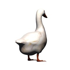Farm animals - white goose - isolated on white background - 3D illustration
