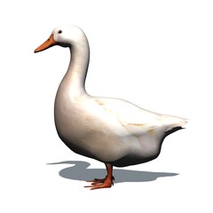 Farm animals - white goose with shadow on the floor - isolated on white background - 3D illustration