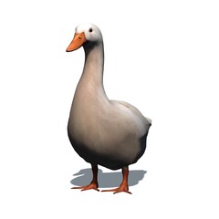 Farm animals - white goose with shadow on the floor - isolated on white background - 3D illustration