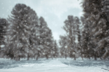 winter background, blured forest