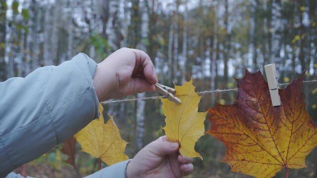 Autumn creative. Composition with yellow leaves. October concept