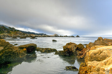 Fototapeta na wymiar Point Lobos State Natural Reserve - California