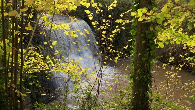 Trull waterfall in the fall/autumn, man made water fall in Taunton Somerset.