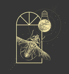 Magic witchcraft window silhouette with longhorn beetle and full moon like light bulb. Vector illustration