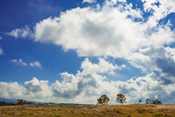 朝霧高原を流れる雲