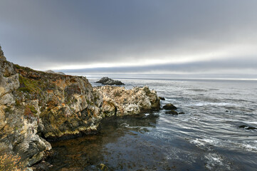 Bird Island - Point Lobos, California