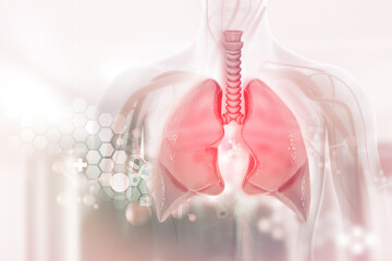 Human lungs on scientific background.3d illustration