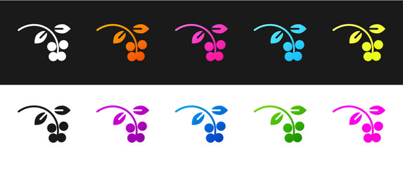 Set Coffee bean, branch with leaf and berry icon isolated on black and white background. Plant with leaf, berry, fruit, seed. Vector Illustration.