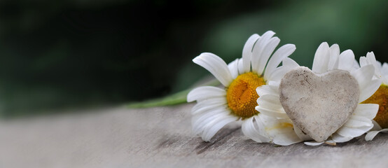 Obraz premium little heart in front of white daisy on a table