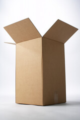 Empty Cardboard box 