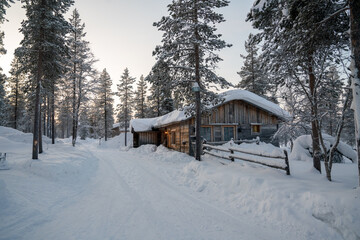 Winter in the forest, pines, trees  covered in snow winter and the village inside the Arctic Circle. Lapland, Finland. Winter sunrise 