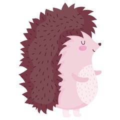 hedgehog animal forest cartoon icon