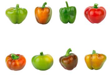 Colored raw bell peppers, white background