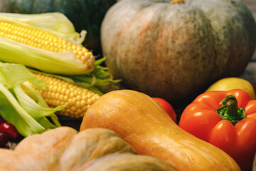 Close up of vegetables pumpkins and corn cobs