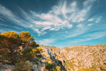 Cassis, Calanques, France. French Riviera. Beautiful Nature Of Cote De Azur On The Azure Coast Of France