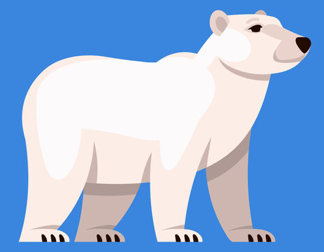 Polar bear three quarter view. Arctic animal in cartoon style.