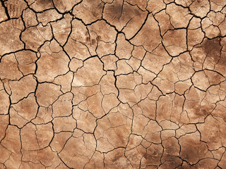 The ground has cracks in the top view for the background