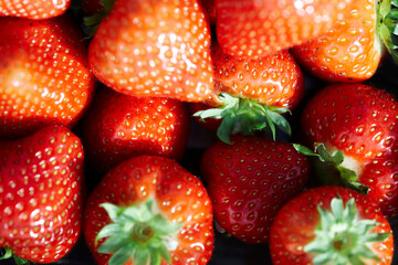 fresh strawberries packed for sale in a big greenhouse